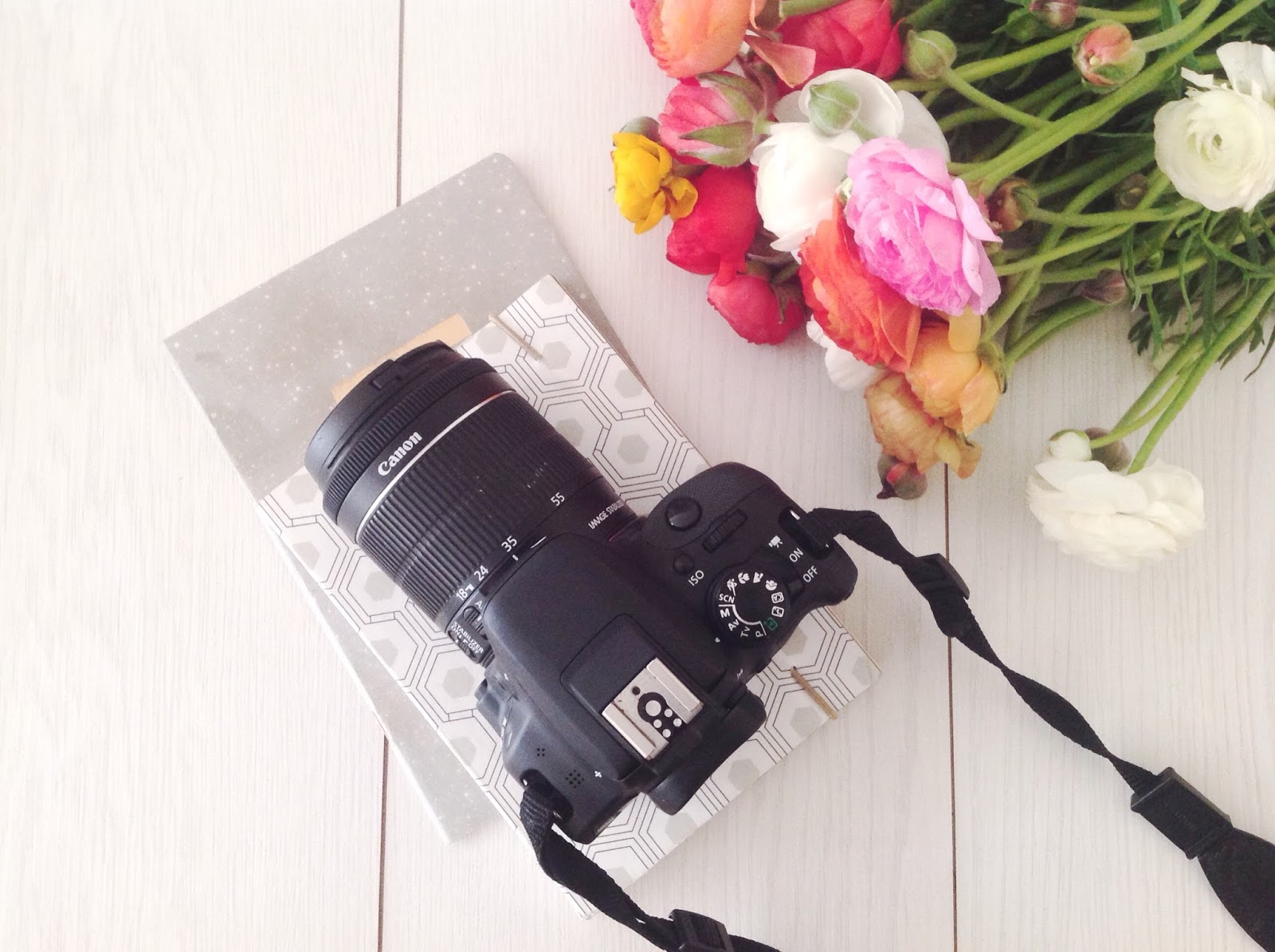 Aprender a Fotografar