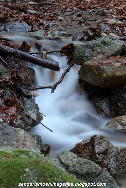 Turó i empedrat de Morou (Montseny)