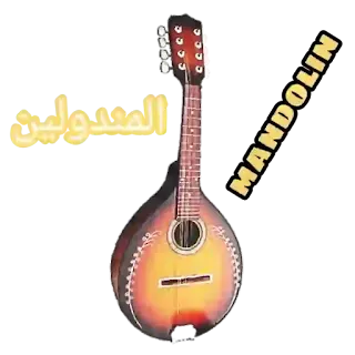 المندولين mandolin