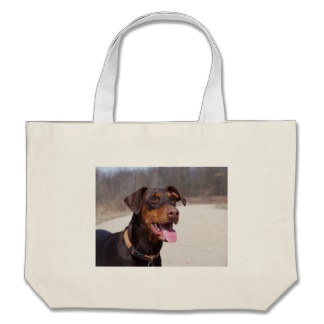 Bag Dobe