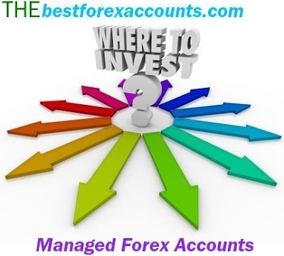 best forex accounts