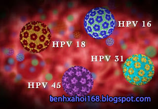 nguyên nhân nhiễm virus hpv là do đâu