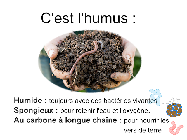 Le compost fini contient de l'humus. L'humus est du carbone à longue chaîne. Humide et spongieux