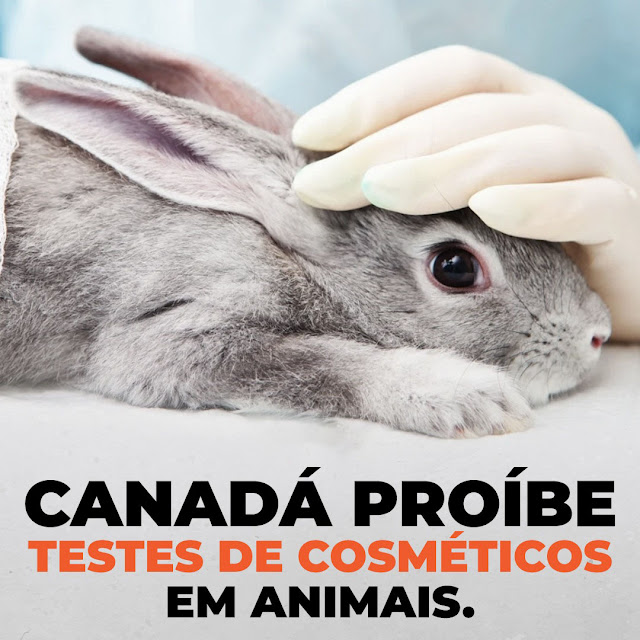 Canadá decidiu proibir o teste de cosméticos em animais