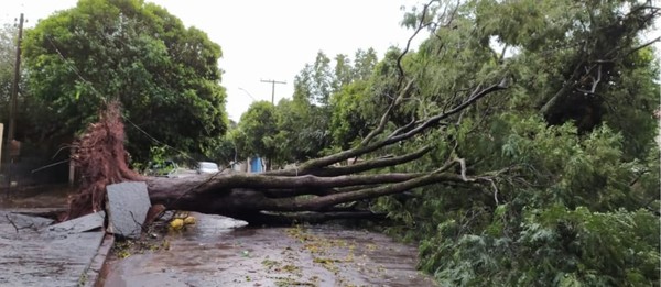 Temporal e chuva de granizo causam estragos em municípios do Pontal do Paranapanema