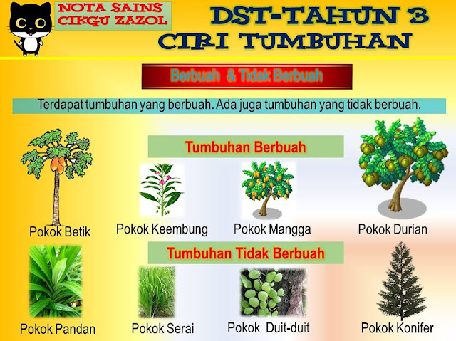 Soalan Matematik Tahun 4 Format Baru - Persoalan m