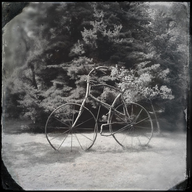 Von Gimborn Arboretum, Doorn. Hipstamatic: Americana + D-Type Plate. Foto: Robert van der Kroft