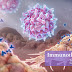 Immunotherapy: Your Immune System is Cancer's Biggest Enemy