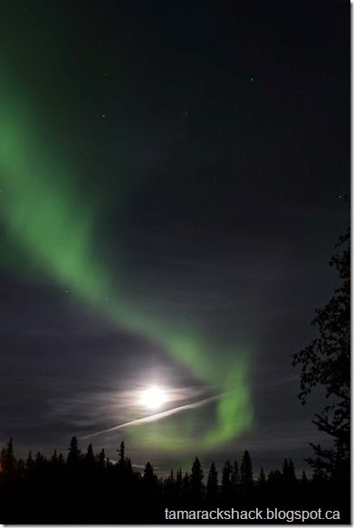 aurora2