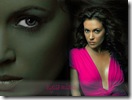 Alyssa Milano.1024x768 (13)
