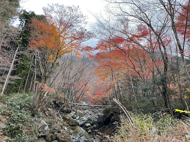 Fall Foliage in Yamanashi