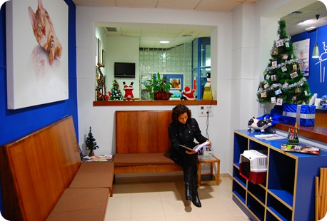 Sala gatos