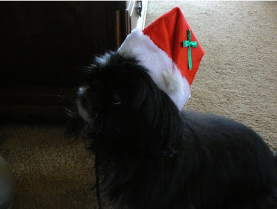 Santa Hat Seen On www.coolpicturegallery.us