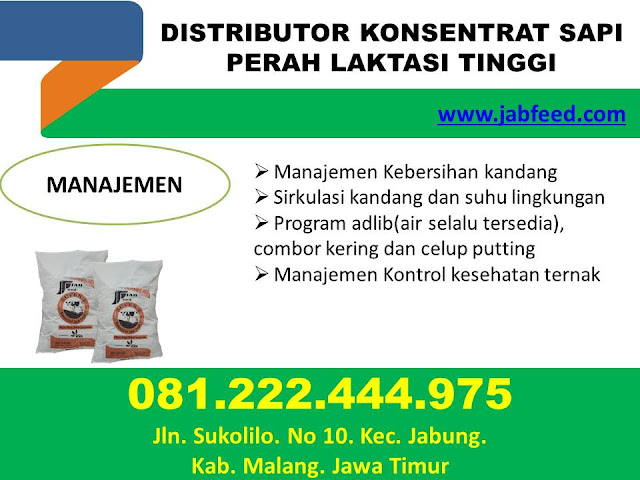  konsentrat Untuk Sapi Potong, Jenis Konsentrat Untuk Sapi, Harga Konsentrat Sapi 2019, Daftar Harga