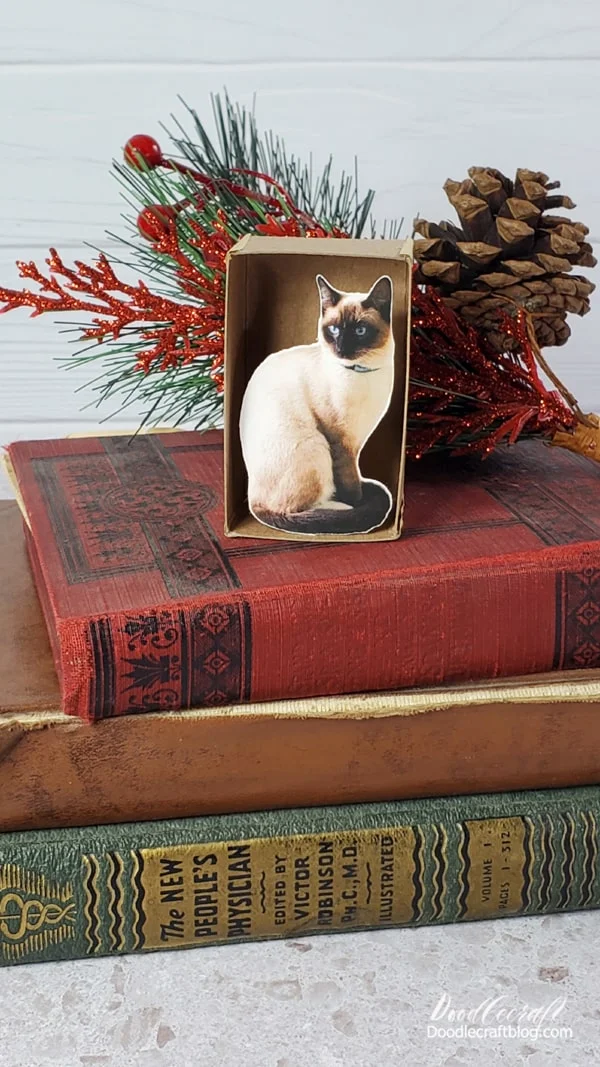 Do you have a cat in your life?   Do you have a cat lover in your life?   Turn their cherished little felines into an adorable little conversation piece!