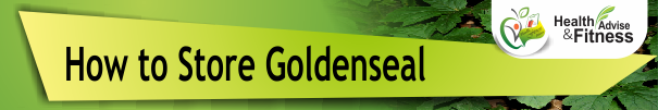 How to Store Goldenseal