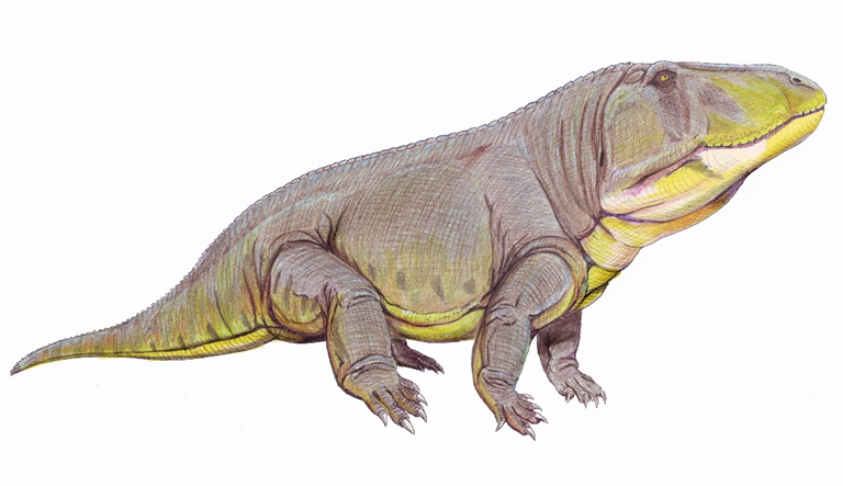 Erythrosuchus. (en griego, "cocodrilo rojo") es un género extinto de reptil arcosauriforme del Triásico, que habitó en Sudáfrica y Namibia. Sus restos han sido hallados en la zona faunística de Cynognathus del Grupo Beaufortp en el Karoo de Sudáfrica y en la Formación Omingonde en Namibia.​