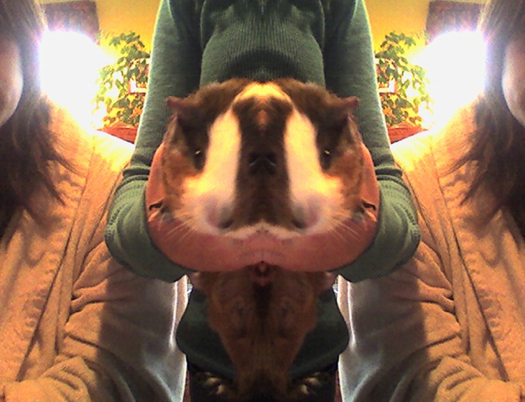 C__Users_Beth_Documents_Youcam_Snapshot_20110226_2