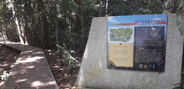 Rentis Bukit Teresek @ Taman Negara