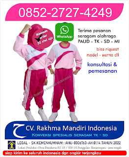 baju olahraga sekolah tk dan paud modern, warna ros sedang kombinasi pink fanta model lengan panjang desain keren 2024