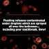 Health : Things  You Don't Know About The Organism "Bacteria"..Must Read 