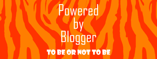 blog thiết kế - bàn luận về việc viết blog