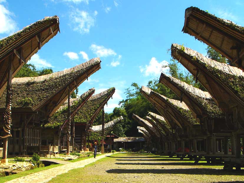 BUDAYA INDONESIAKU Toraja   icon kebudayaan bangsa indonesia