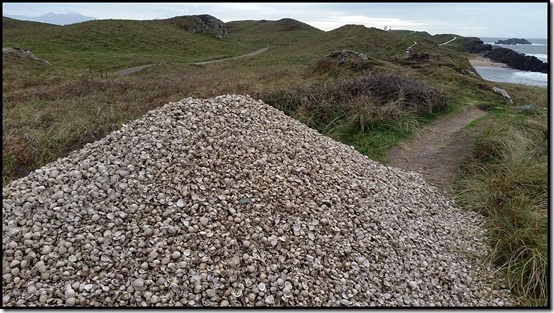 1420Llanddwynshells1