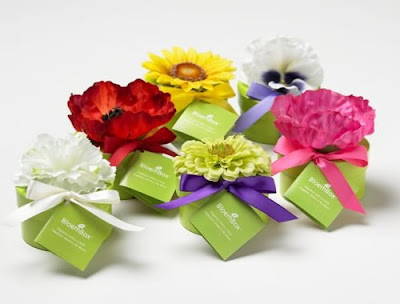 Wedding Favors Seeds on Party Favors     Low Prices On Wedding Favors   Flower Seed