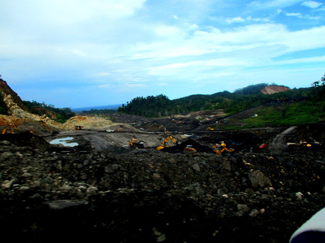 Soal Moratorium, Walhi Bengkulu Dorong Pemprov Gugat Pertambangan Nakal