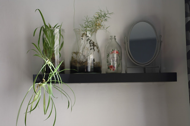 plantes vertes a la maison decoration inerieure
