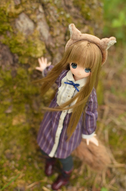 Chiika squirrel