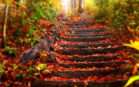 Autunno, profumi e colori. Cosa fare in autunno