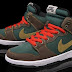 Nike SB Dunk Mid Pro 'Patagonia'