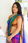 Santoshi sharma half saree pics-thumbnail-22