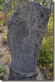 magnetic termite mound2