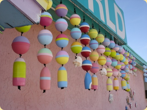 Key Largo, FL 026