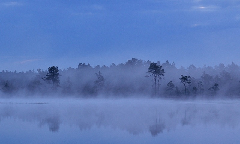 5672108426_f18d16ff30_b