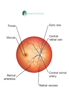 Retinal Diseases