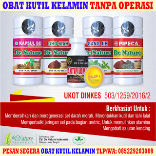 Obat Kutil Kelamin Obat Kutil Kelamin