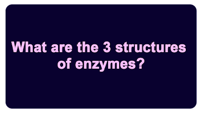 What are the 3 structures of enzymes?