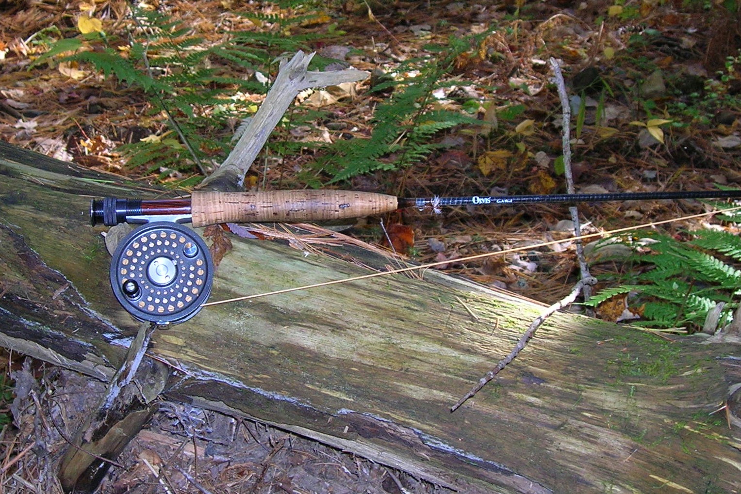 Small Stream Reflections: A Fly Rod