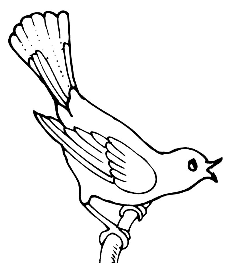 Simple bird drawing