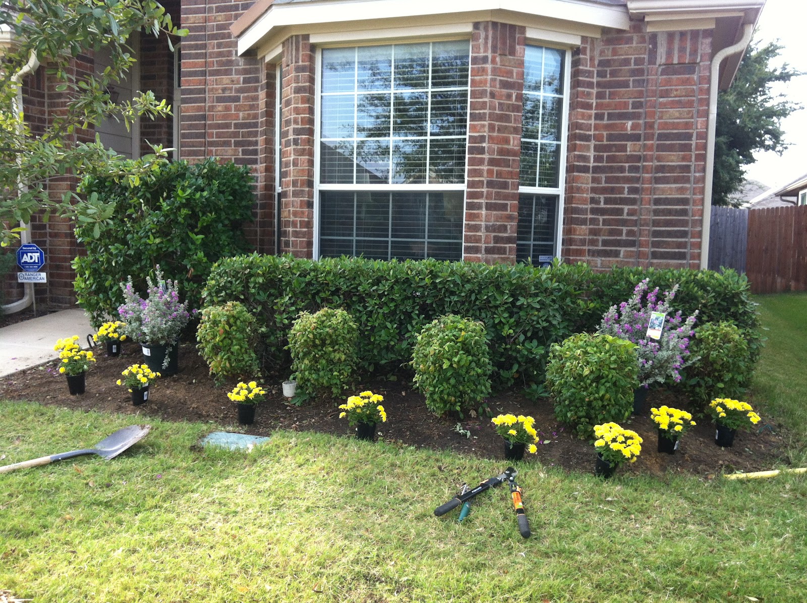 Front Yard Landscaping Pictures Texas PDF
