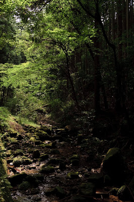 東海道自然歩道・室生寺