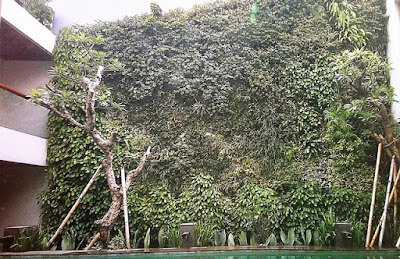 Tukang Taman Vertikal Surabaya | Vertical Garden 10