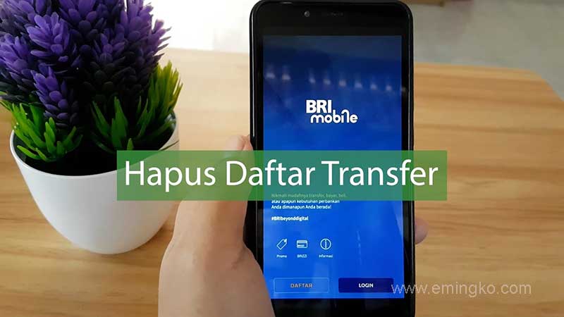 Cara Menghapus Rekening Daftar Transfer di BRI Internet Banking