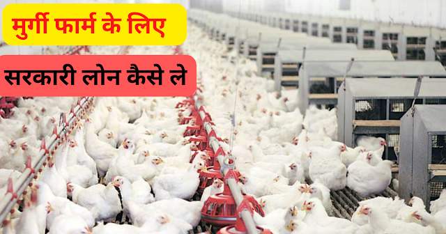 Poultry Farming Loan 