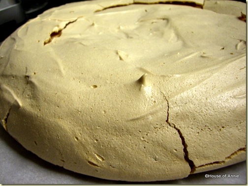 Pavlova baked