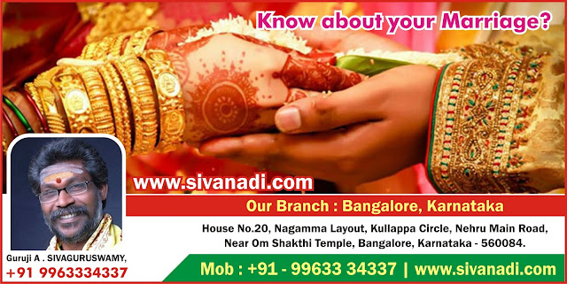 Nadi Astrology in Bangalore, Online Nadi Astrology in Bangalore